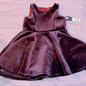 NWT Velvet Purple Dress Toddler